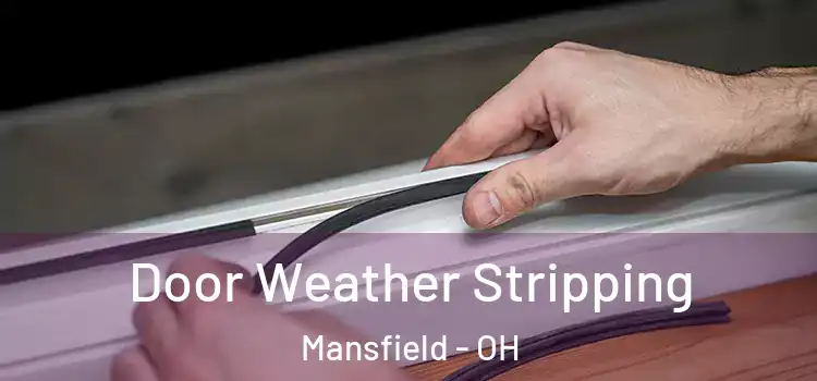 Door Weather Stripping Mansfield - OH