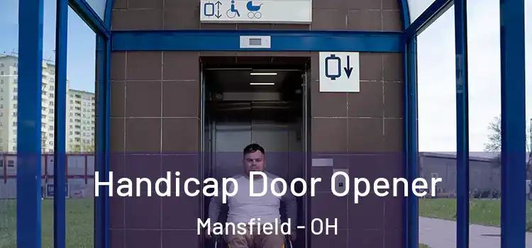 Handicap Door Opener Mansfield - OH