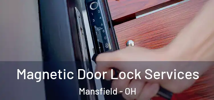 Magnetic Door Lock Services Mansfield - OH