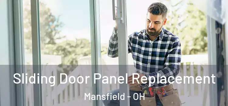  Sliding Door Panel Replacement Mansfield - OH