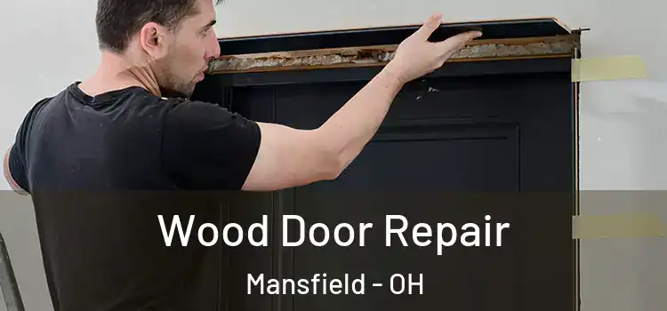 Wood Door Repair Mansfield - OH
